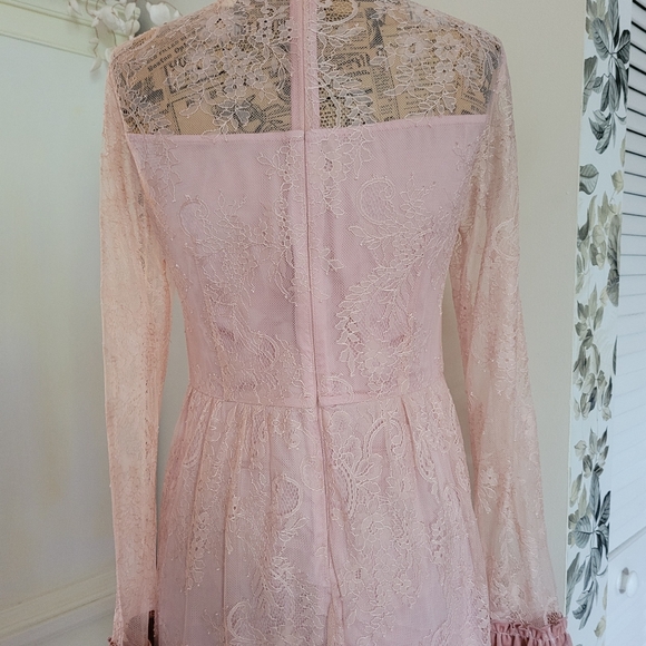 Pink Mary Cottagecore maxy lace dress with floral appliques Velvet accents Y2K - Picture 8 of 13